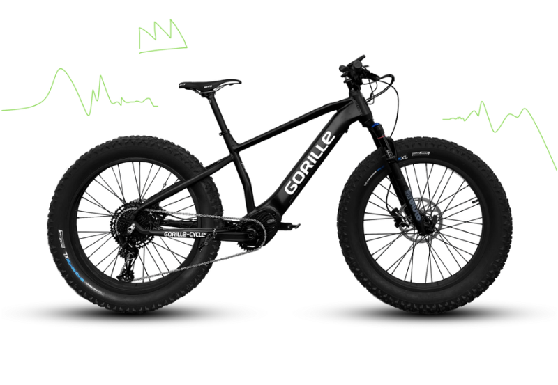 Gorille Titus Electric Bike