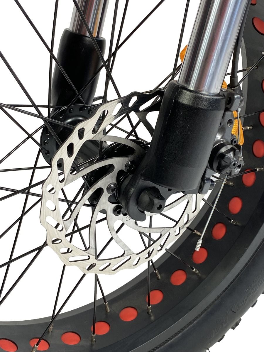 Cruz73 Retro Electric Bike