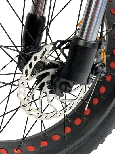 Cruz73 Retro Electric Bike