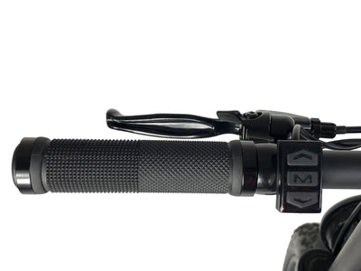 Cruz73 Retro Electric Bike - Unlimited Version