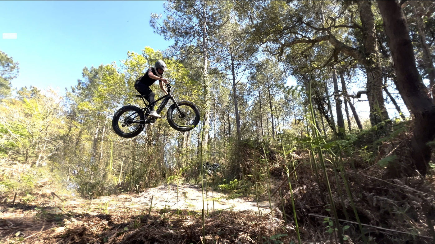 Gorille Titus Electric Bike