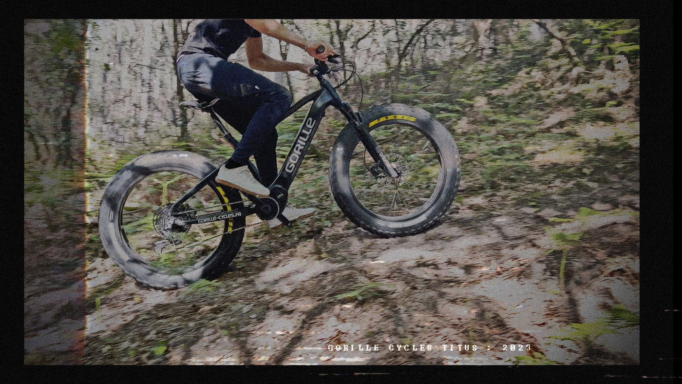 Gorille Titus Electric Bike