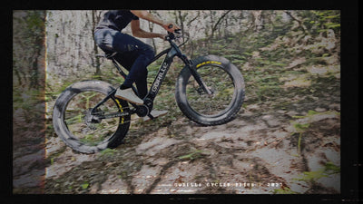 Gorille Titus Electric Bike