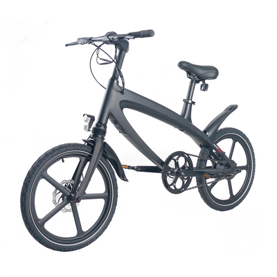 Cruzaa Electric Bike
