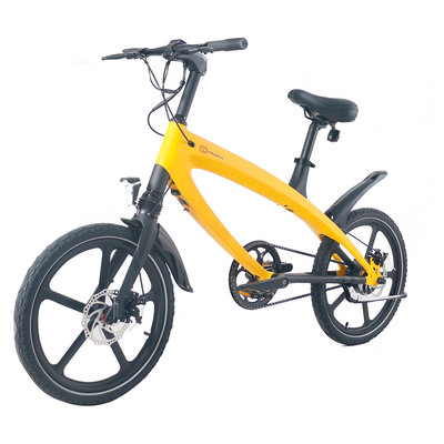 Cruzaa Electric Bike